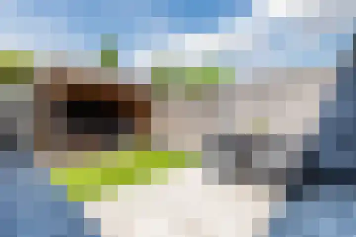 Karel de Grotelaan 78 Rijnsburg thumbnail 39