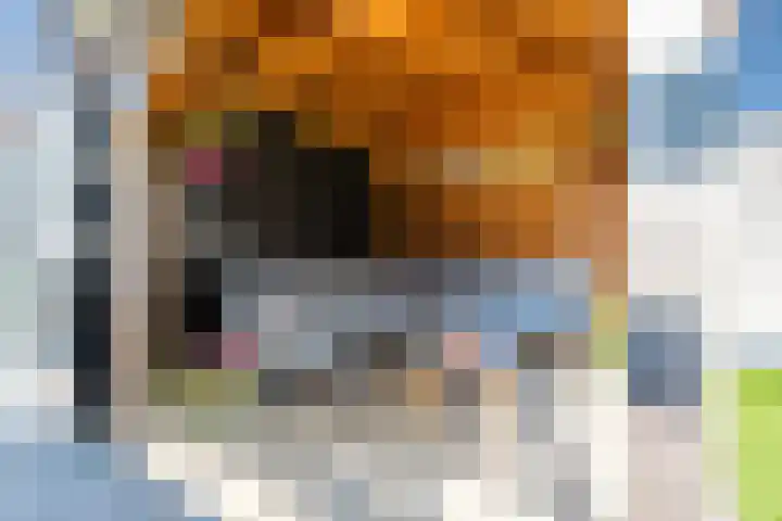 Karel de Grotelaan 78 Rijnsburg thumbnail 42