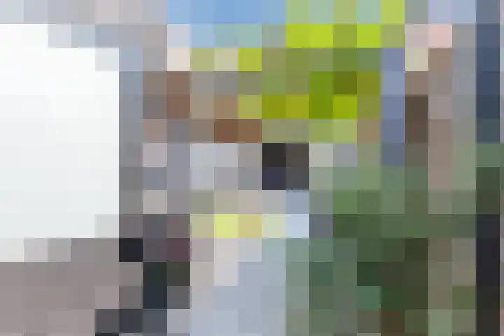 Karel de Grotelaan 78 Rijnsburg thumbnail 43
