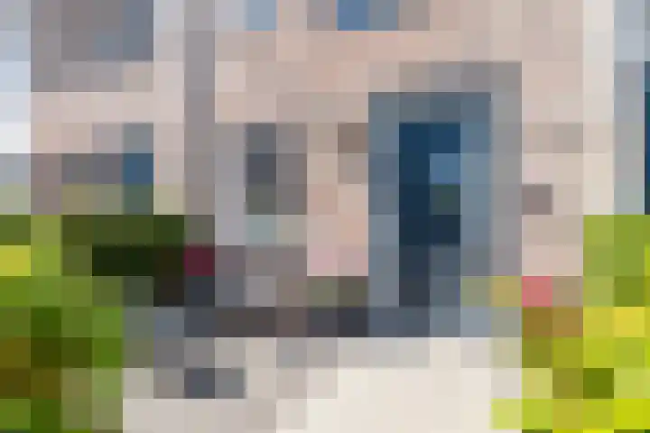 Karel de Grotelaan 78 Rijnsburg thumbnail 7
