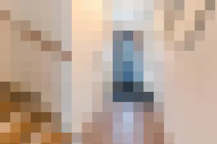 Karel de Grotelaan 78 Rijnsburg thumbnail 8