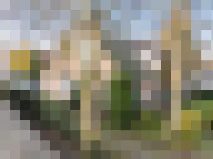 Karel de Grotelaan 84 Bergen (NH) thumbnail 33
