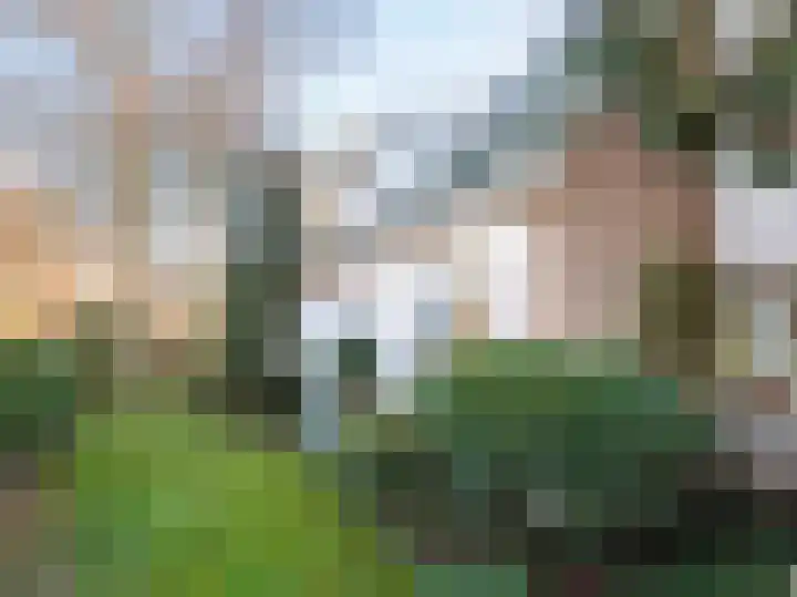 Karel de Grotelaan 84 Bergen (NH) thumbnail 38