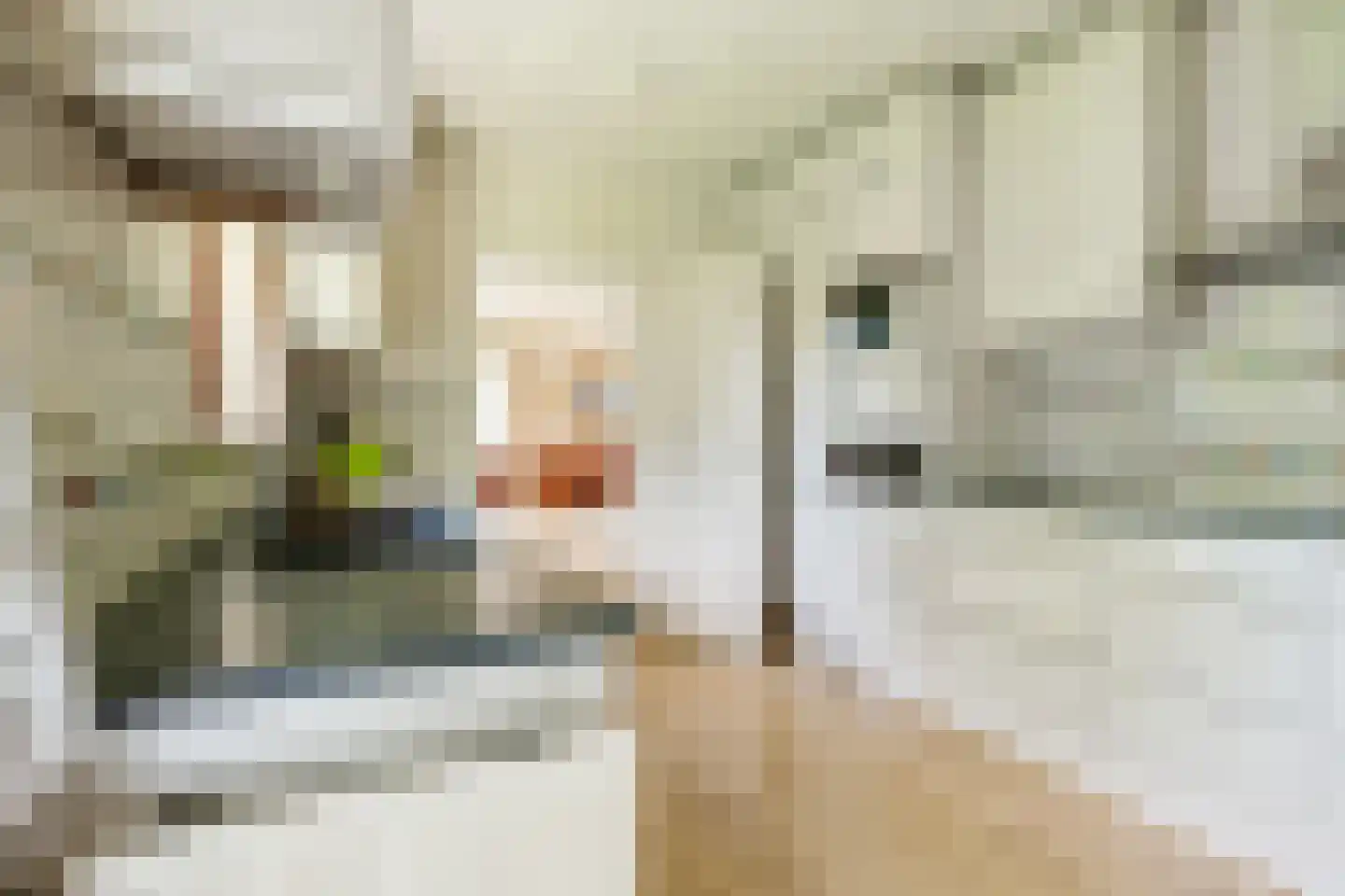Karel de Grotelaan 86 Bergen (NH) thumbnail 16