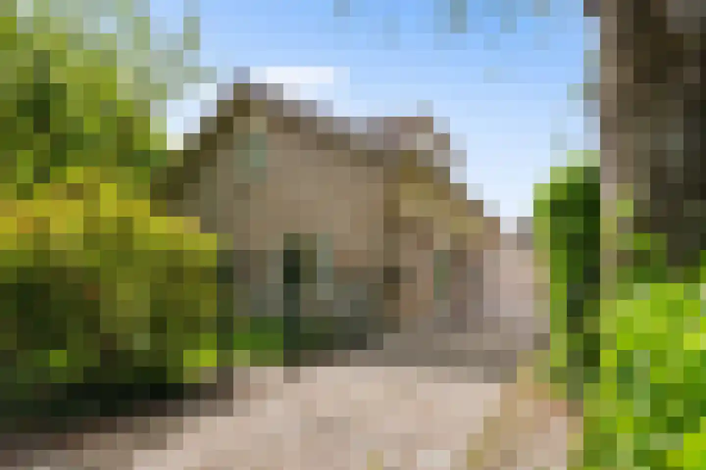 Karel de Grotelaan 86 Bergen (NH) thumbnail 5