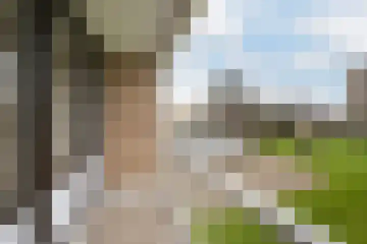 Karel de Grotelaan 88 Vlaardingen thumbnail 19