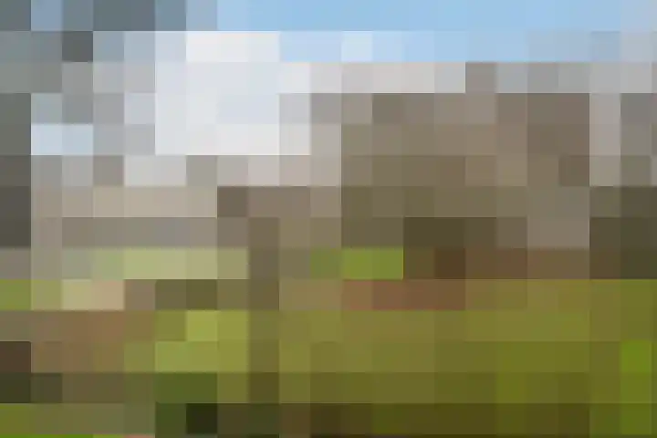Karel de Grotelaan 88 Vlaardingen thumbnail 31