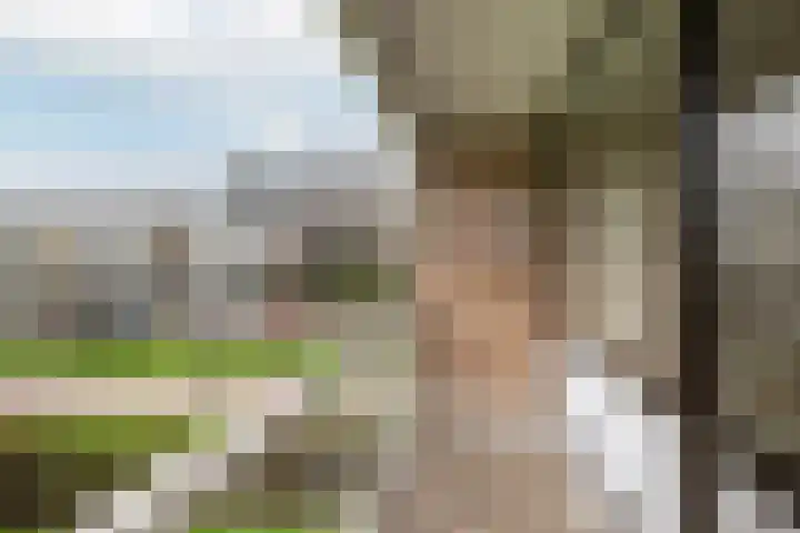 Karel de Grotelaan 88 Vlaardingen thumbnail 4