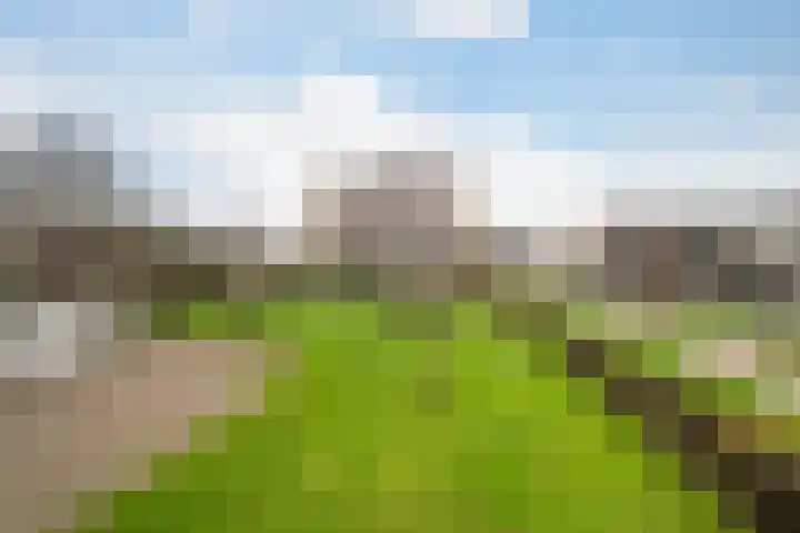 Karel de Grotelaan 88 Vlaardingen thumbnail 5