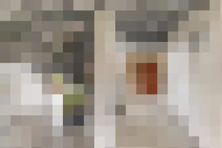 Karel de Grotelaan 88 Vlaardingen thumbnail 8