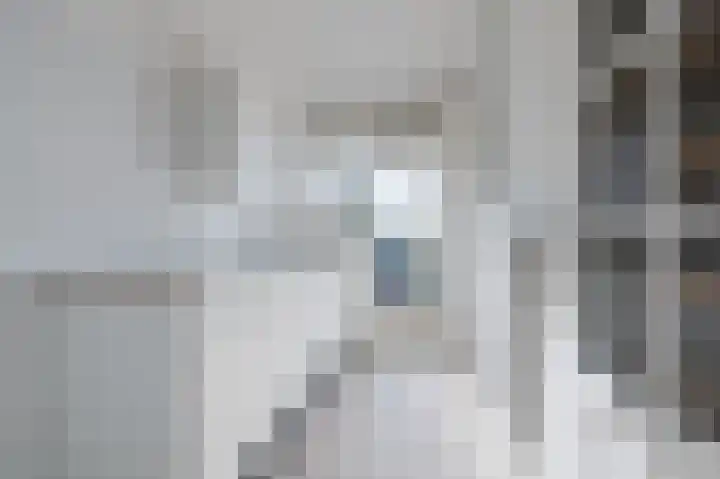 Karel de Grotelaan 91 Eindhoven thumbnail 19