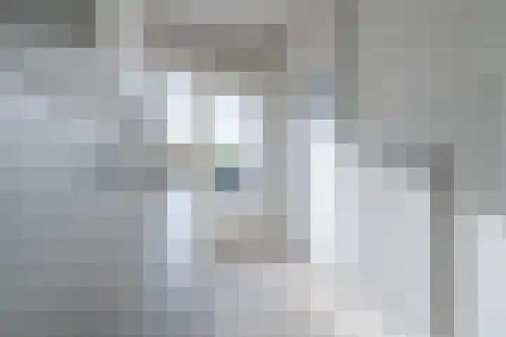 Karel de Grotelaan 91 Eindhoven thumbnail 20