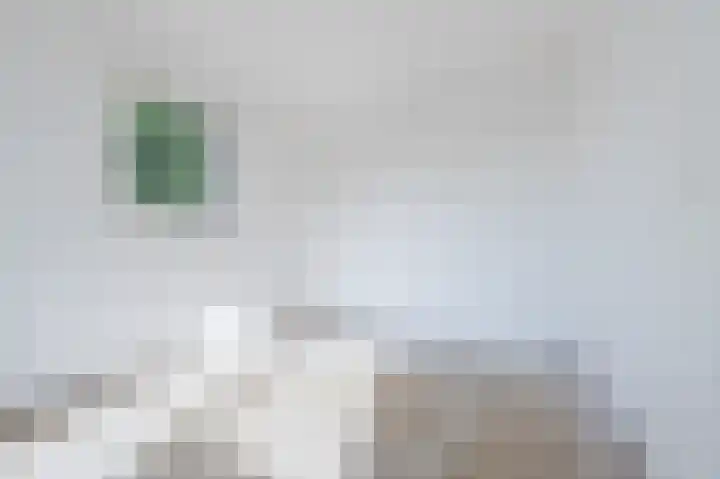 Karel de Grotelaan 91 Eindhoven thumbnail 23