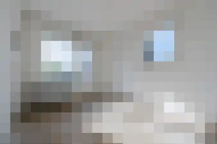 Karel de Grotelaan 91 Eindhoven thumbnail 24
