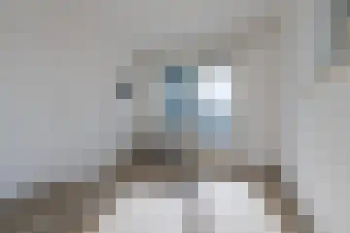 Karel de Grotelaan 91 Eindhoven thumbnail 25