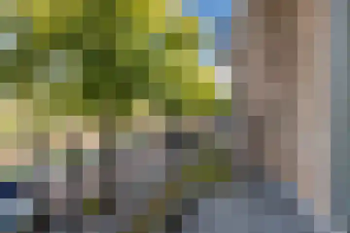 Karel de Grotelaan 91 Eindhoven thumbnail 32