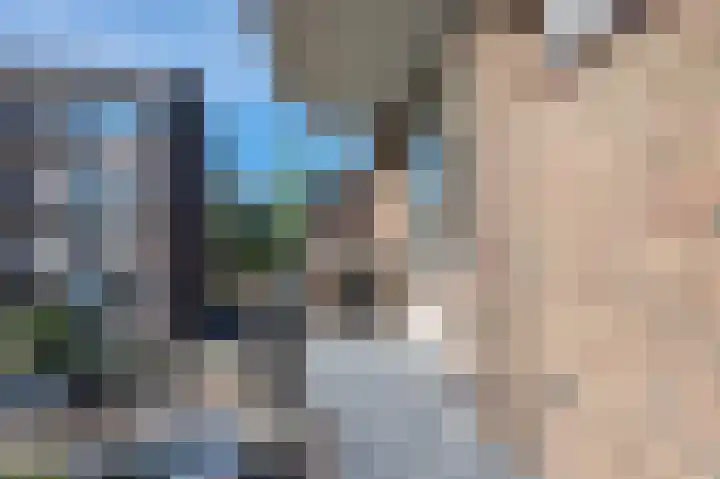 Karel de Grotelaan 91 Eindhoven thumbnail 36