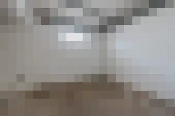 Karel de Grotelaan 91 Eindhoven thumbnail 37