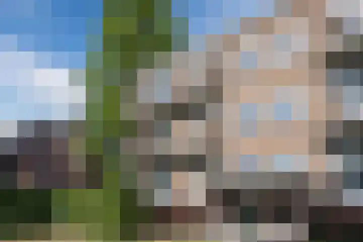 Karel de Grotelaan 91 Eindhoven thumbnail 39