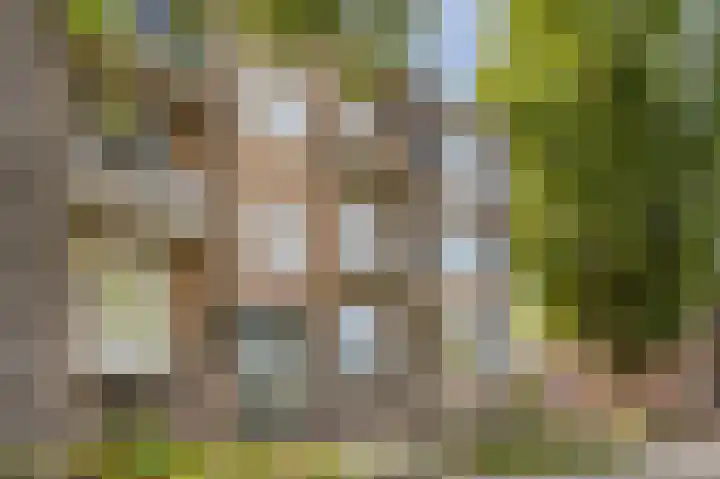 Karel de Grotelaan 91 Eindhoven thumbnail 4