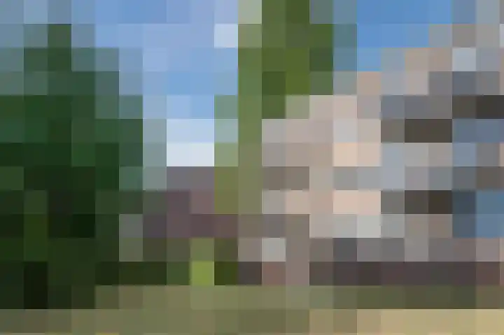 Karel de Grotelaan 91 Eindhoven thumbnail 41