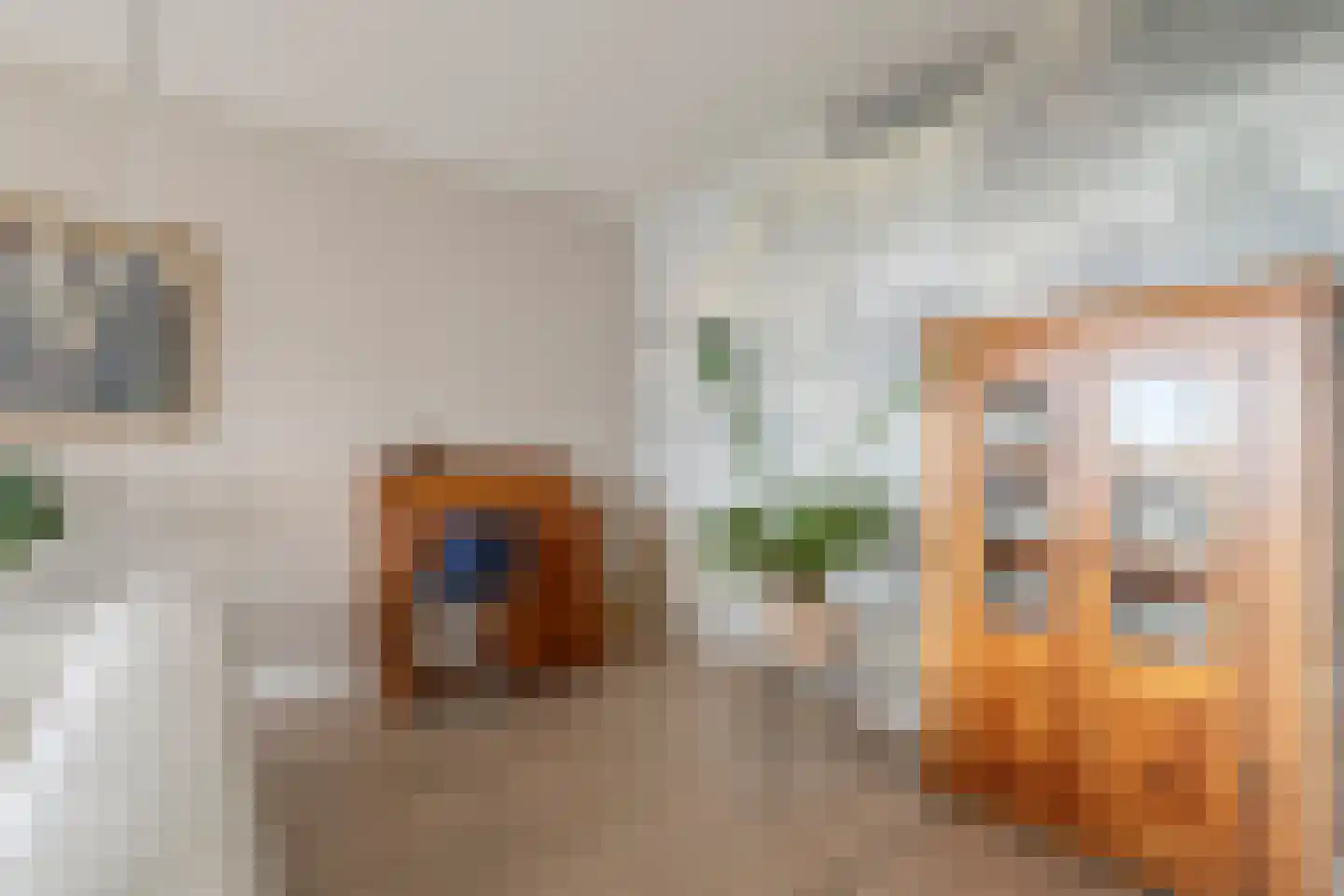 Karel de Grotelaan 94 Deventer thumbnail 14