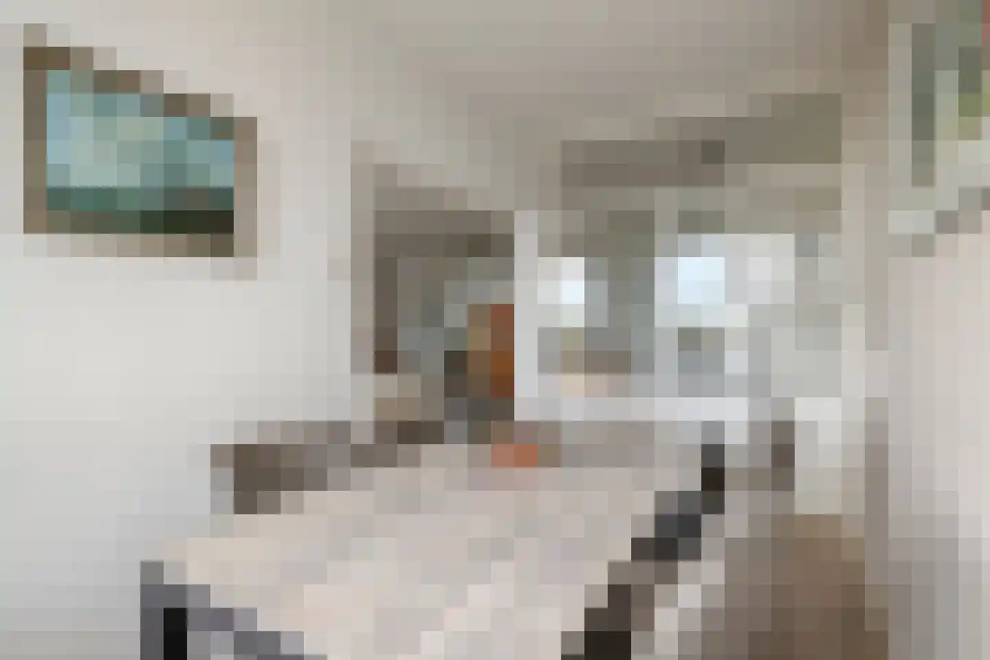 Karel de Grotelaan 94 Deventer thumbnail 19