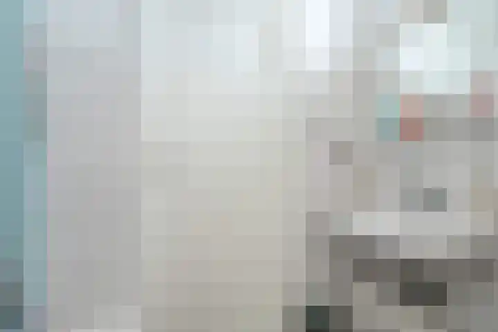 Karel de Grotelaan 95 Eindhoven thumbnail 18