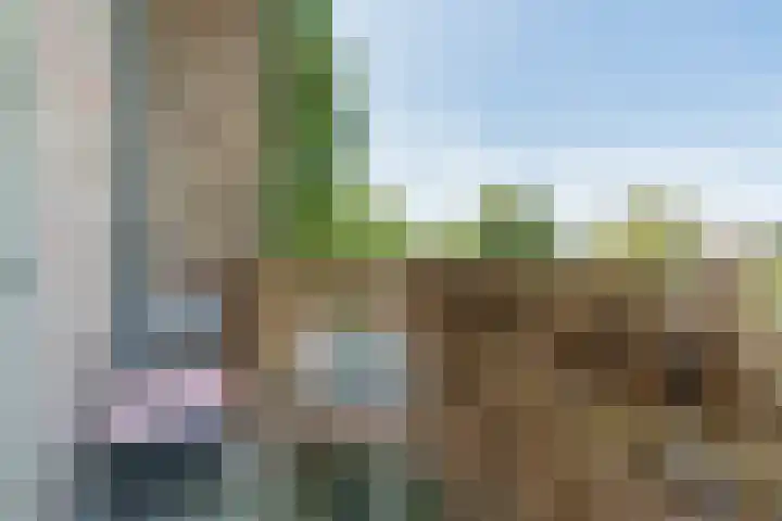Karel de Grotelaan 95 Eindhoven thumbnail 20
