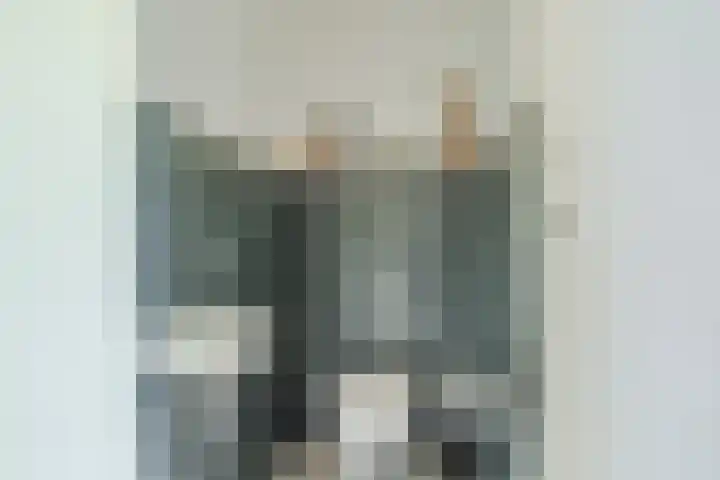 Karel de Grotelaan 95 Eindhoven thumbnail 22