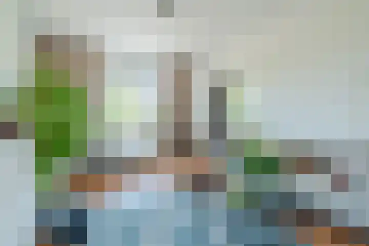 Karel de Grotelaan 95 Eindhoven thumbnail 4