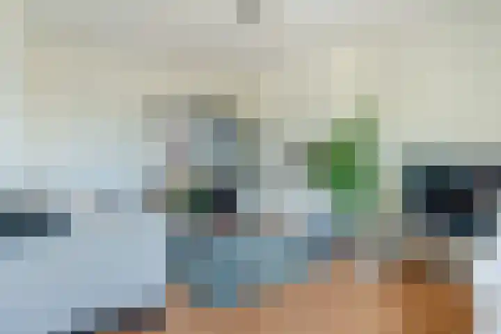 Karel de Grotelaan 95 Eindhoven thumbnail 8