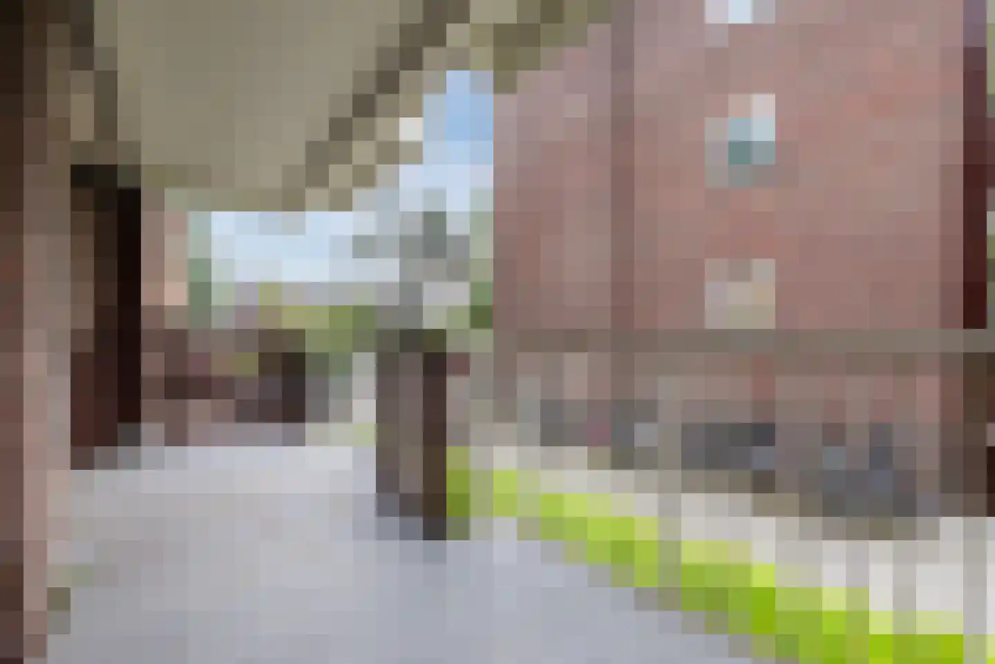 Karel de Grotelaan 97 Eindhoven thumbnail 20