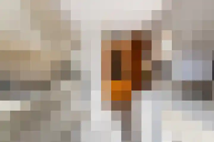 Karel de Grotestraat 22 Wijk bij Duurstede thumbnail 11