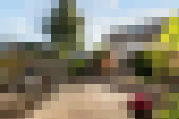 Karel de Grotestraat 22 Wijk bij Duurstede thumbnail 28