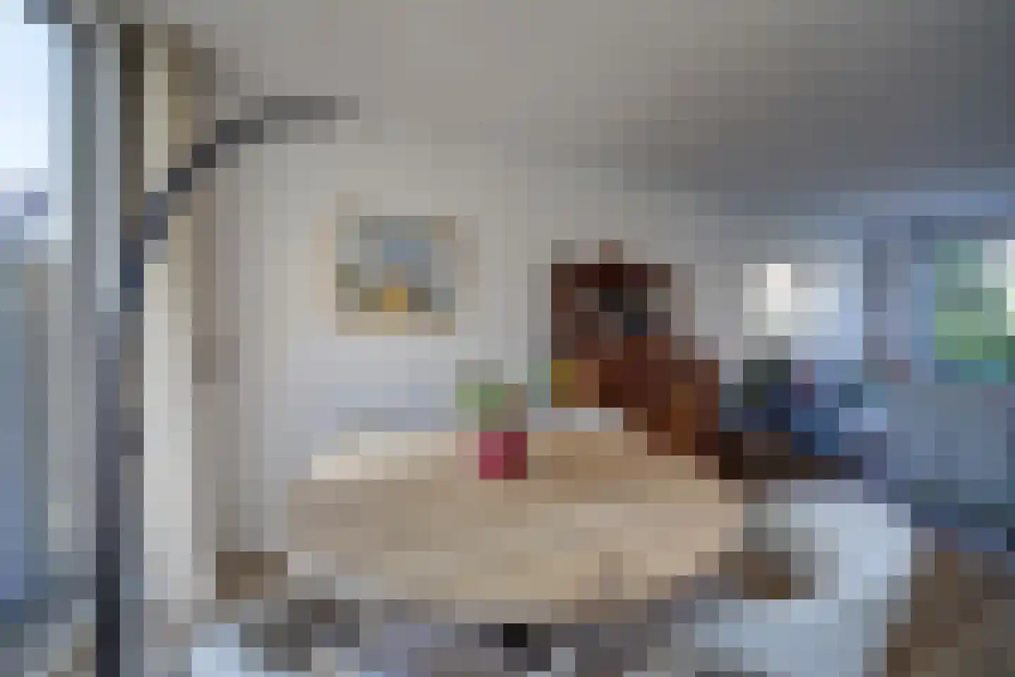 Karel de Grotestraat 37 Wijk bij Duurstede thumbnail 7