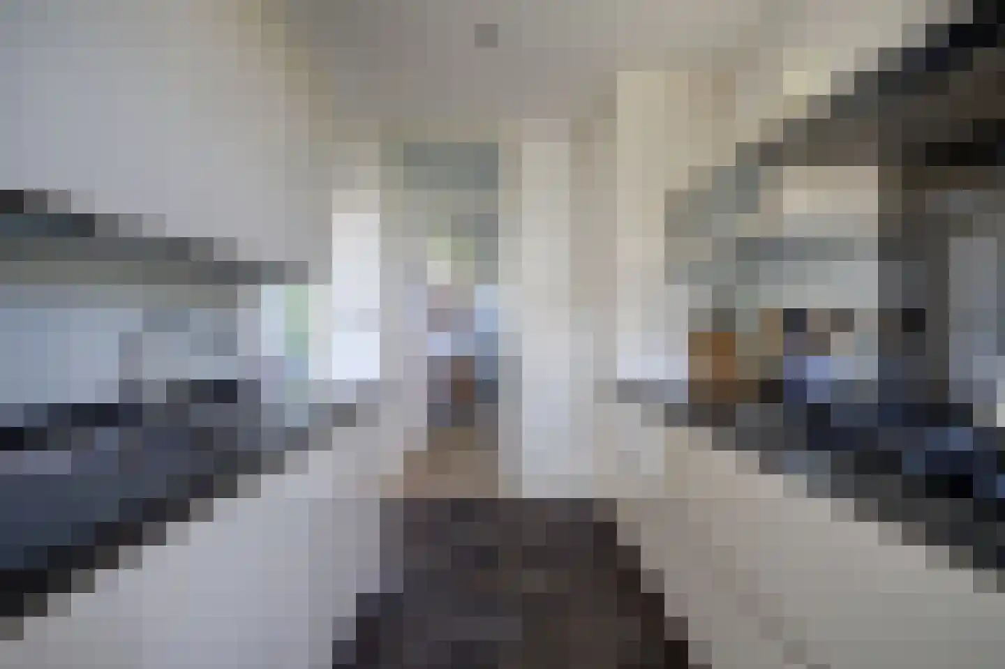 Karel de Grotestraat 37 Wijk bij Duurstede thumbnail 8