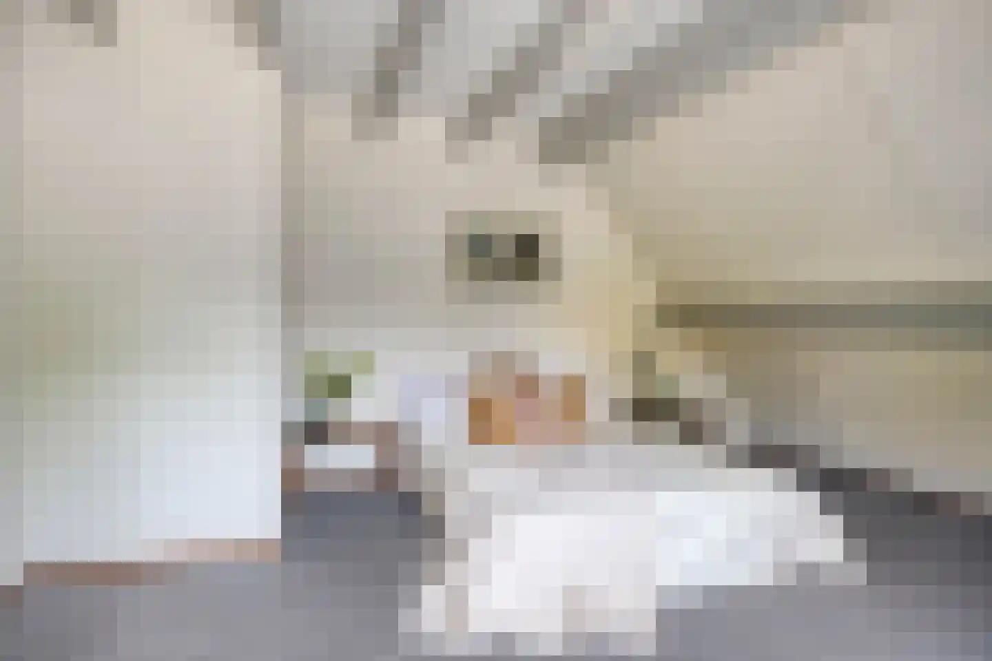 Karel de Stoutelaan 3 Waalre thumbnail 27
