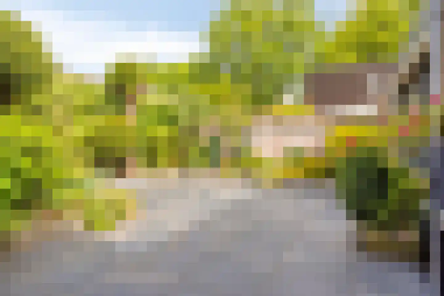 Karel de Stoutelaan 3 Waalre thumbnail 30