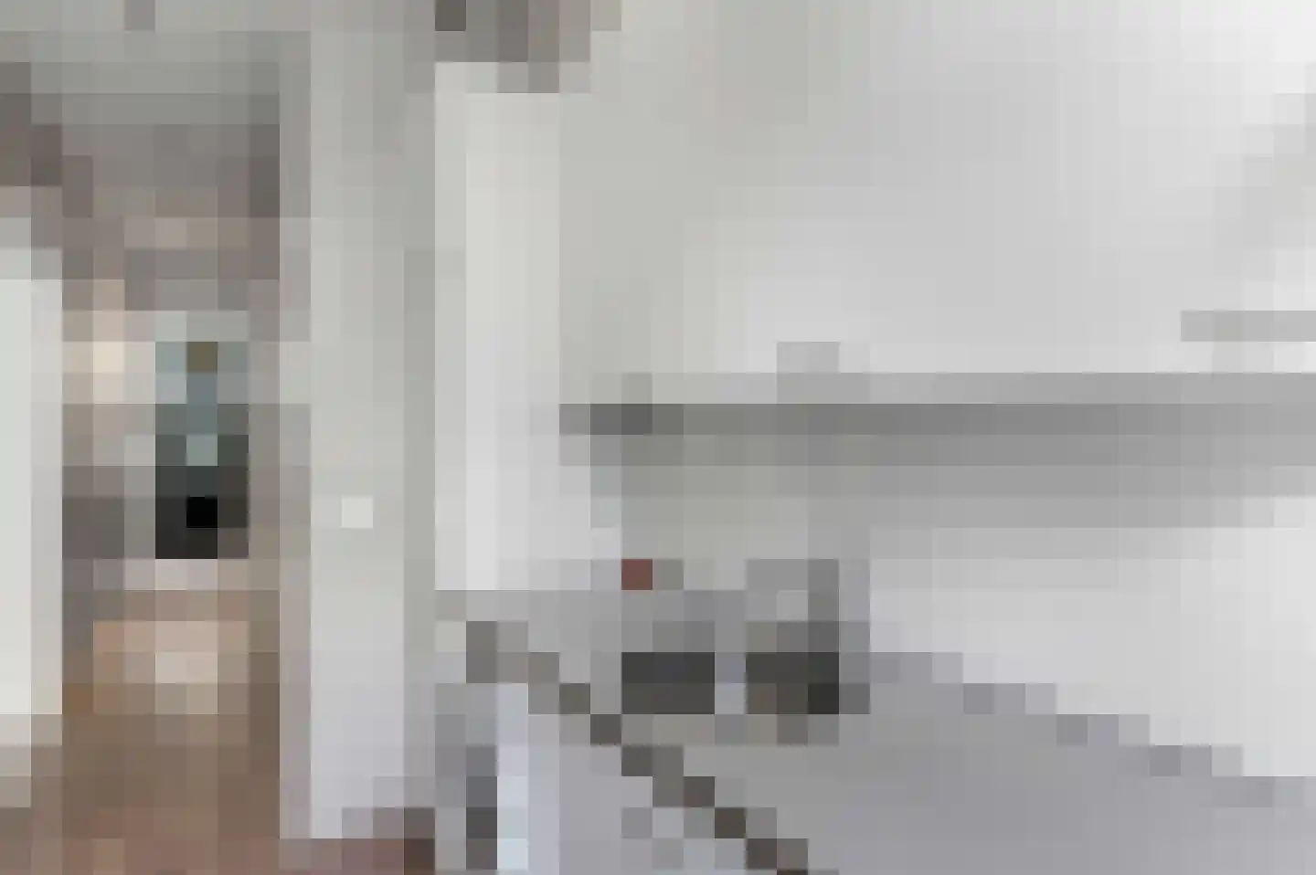 Karel de Stouteplein 9 A Rotterdam thumbnail 18