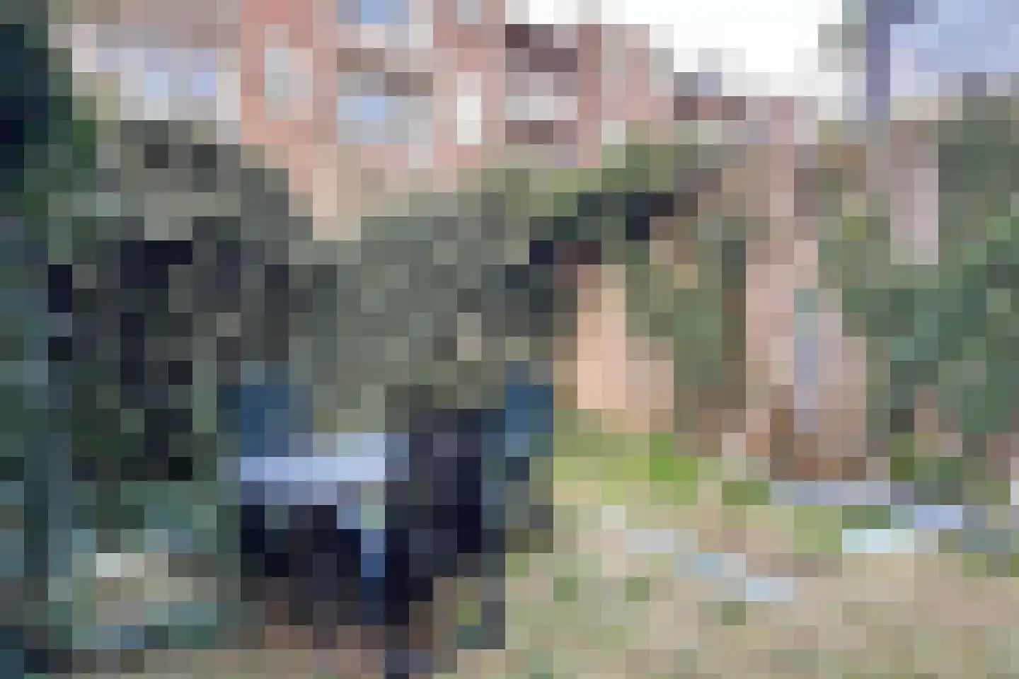 Karel de Stouteplein 9 A Rotterdam thumbnail 21