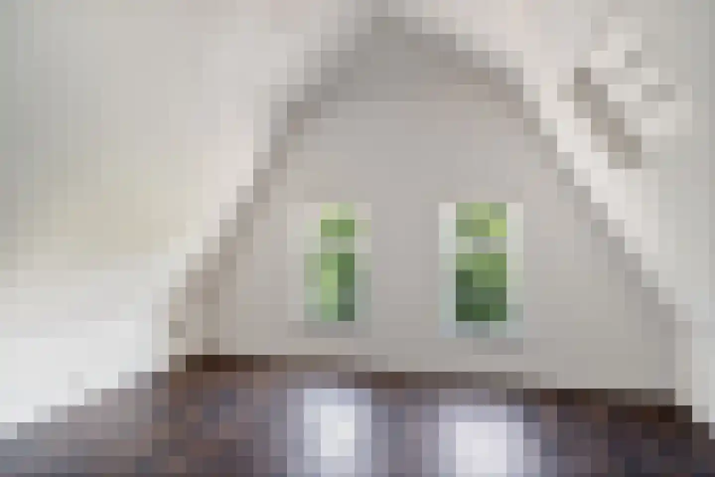 Karel de Stouteplein 9 B Rotterdam thumbnail 29