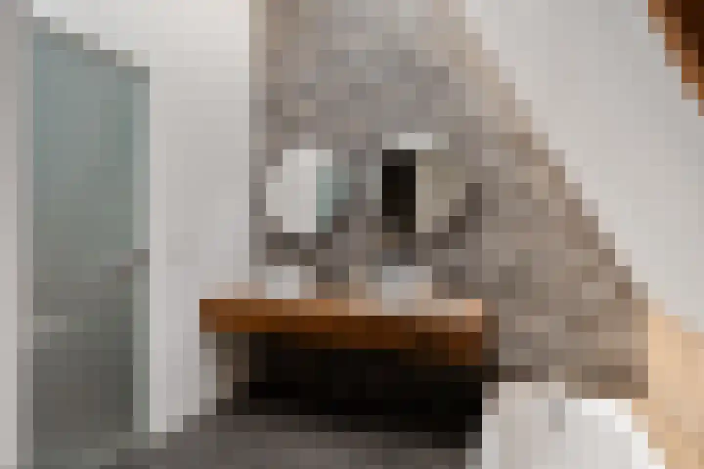 Karel de Stouteplein 9 B Rotterdam thumbnail 34