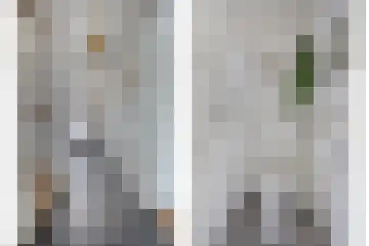Karel de Stoutestraat 17 's-Hertogenbosch thumbnail 15