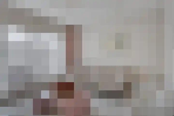 Karel de Stoutestraat 17 's-Hertogenbosch thumbnail 20