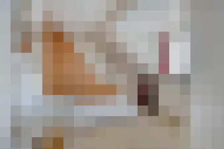 Karel de Stoutestraat 17 's-Hertogenbosch thumbnail 31