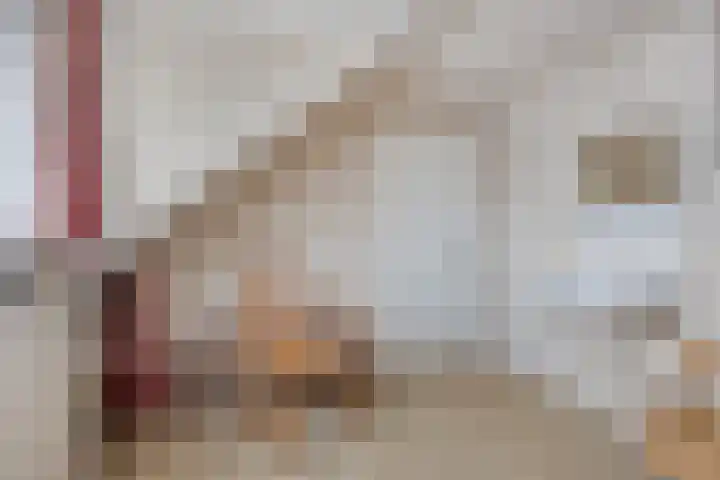 Karel de Stoutestraat 17 's-Hertogenbosch thumbnail 32