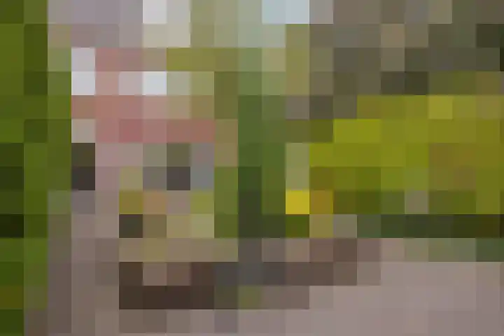 Karel de Stoutestraat 17 's-Hertogenbosch thumbnail 33