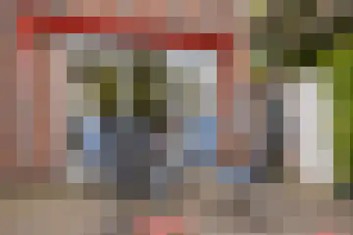 Karel de Stoutestraat 17 's-Hertogenbosch thumbnail 34