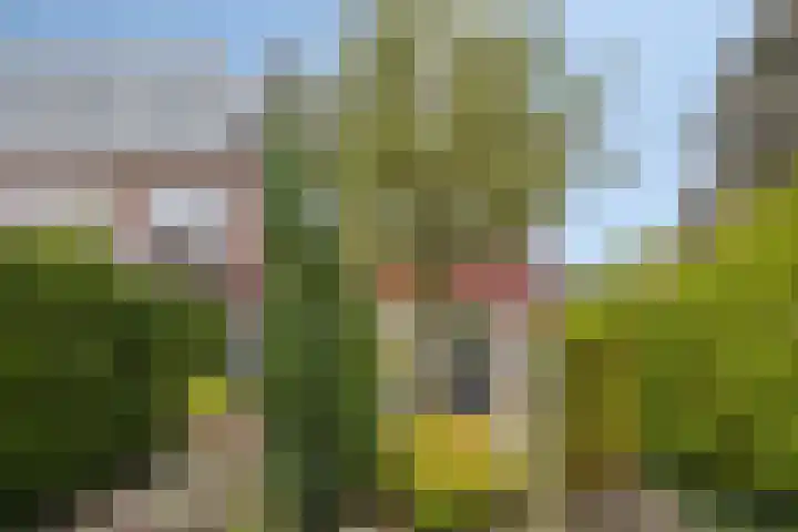 Karel de Stoutestraat 17 's-Hertogenbosch thumbnail 35